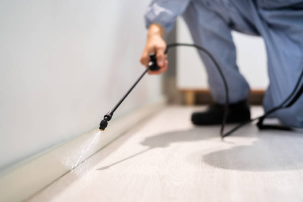 Licensed Rodent Control service in Ansonia, OH - Nex Pest Control