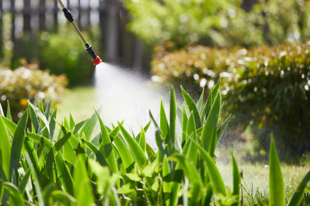 24/7 Emergency Rodent Control experts in Ansonia, OH
