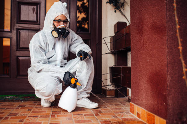 Reliable Rodent Control contractor in Ansonia, OH by Nex Pest Control