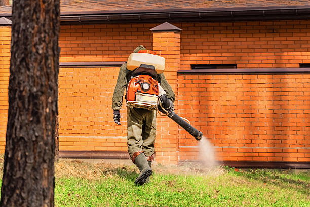 Trusted Rodent Control service in Ansonia, OH - Nex Pest Control